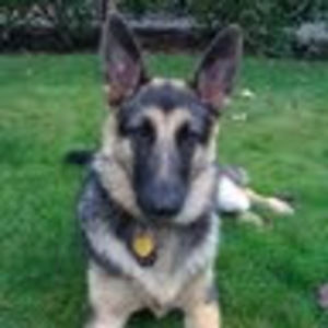 Meet your Posher, Jill